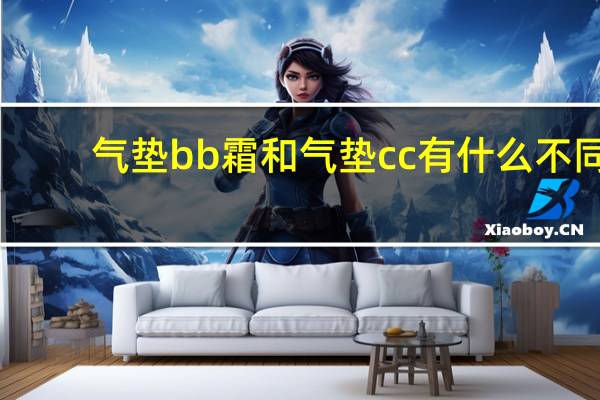 气垫bb霜和气垫cc有什么不同