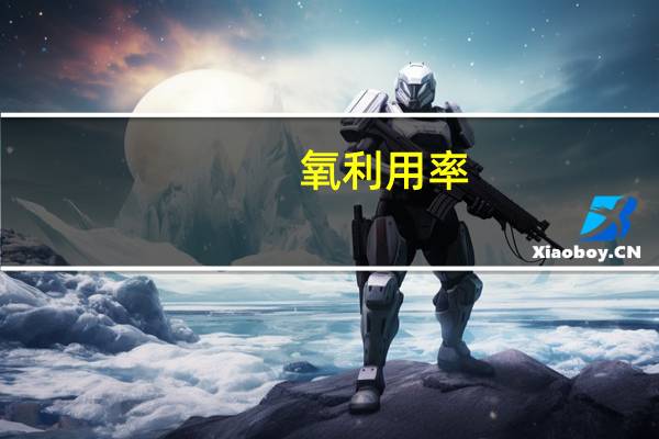 氧利用率