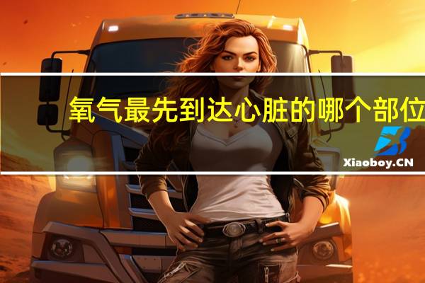氧气最先到达心脏的哪个部位