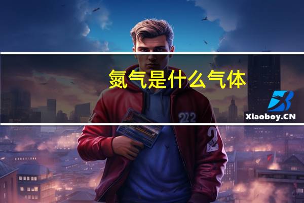 氮气是什么气体