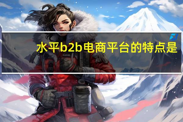 水平b2b电商平台的特点是