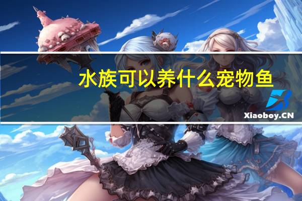水族可以养什么宠物鱼