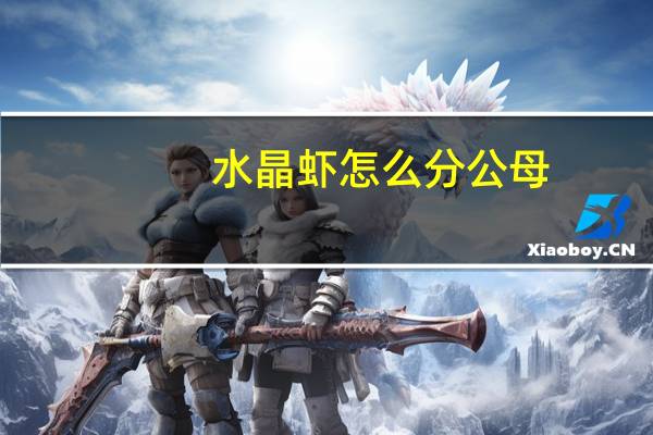 水晶虾怎么分公母