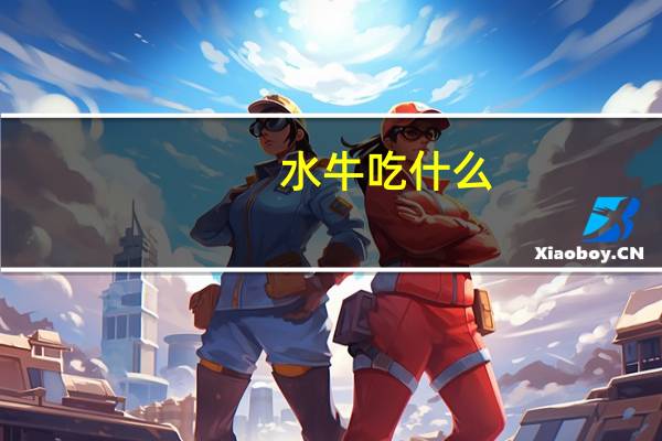 水牛吃什么