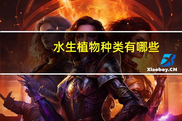 水生植物种类有哪些