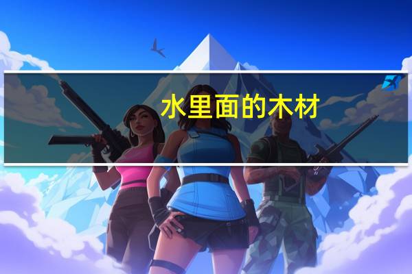 水里面的木材
