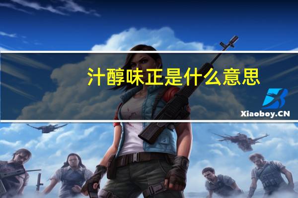 汁醇味正是什么意思