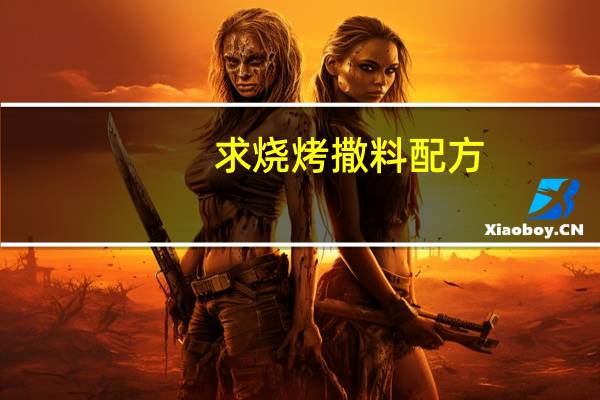 求烧烤撒料配方