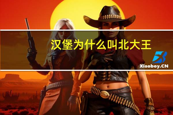 汉堡为什么叫北大王