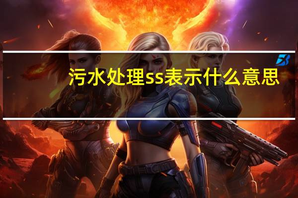 污水处理ss表示什么意思