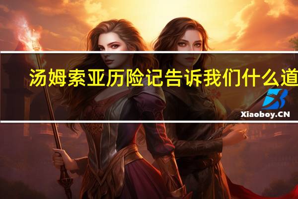 汤姆索亚历险记告诉我们什么道理