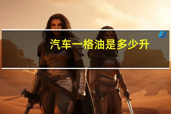 汽车一格油是多少升