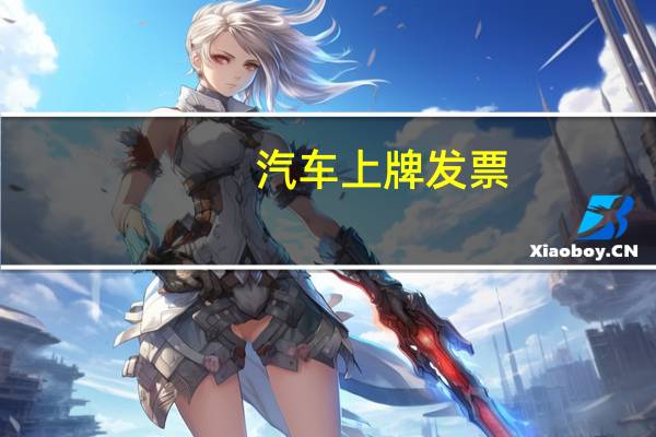 汽车上牌发票