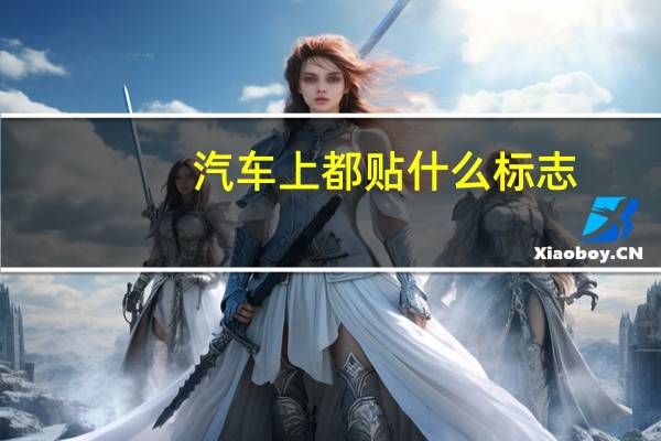 汽车上都贴什么标志
