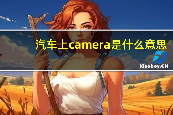 汽车上camera是什么意思