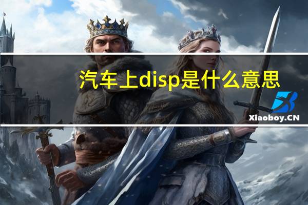 汽车上disp是什么意思