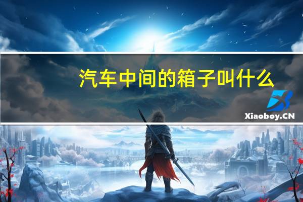 汽车中间的箱子叫什么