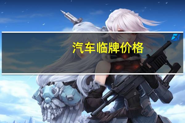 汽车临牌价格