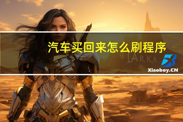 汽车买回来怎么刷程序