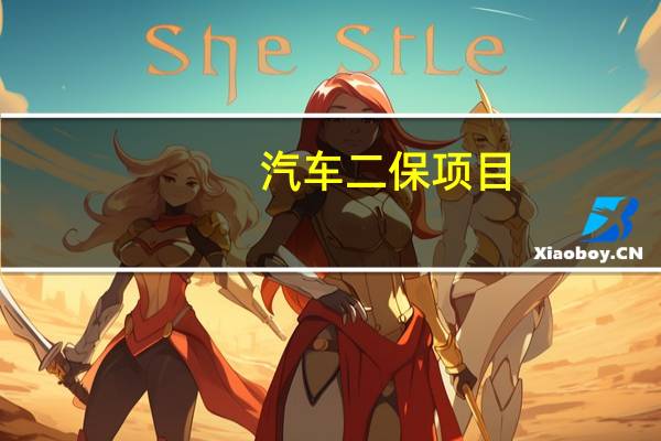 汽车二保项目