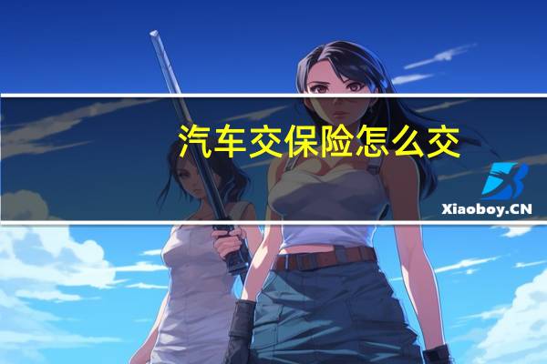 汽车交保险怎么交