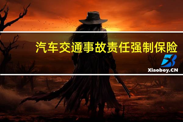 汽车交通事故责任强制保险