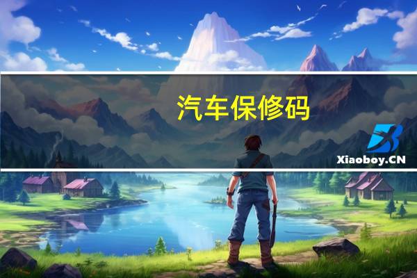 汽车保修码