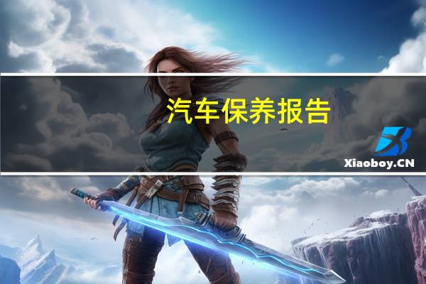 汽车保养报告