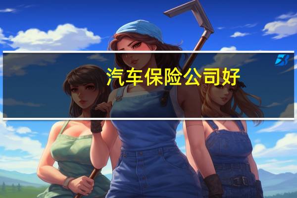 汽车保险公司好