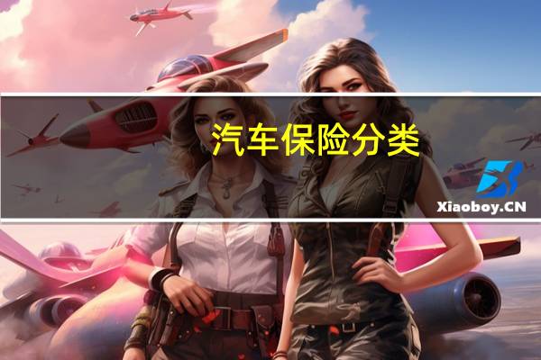 汽车保险分类
