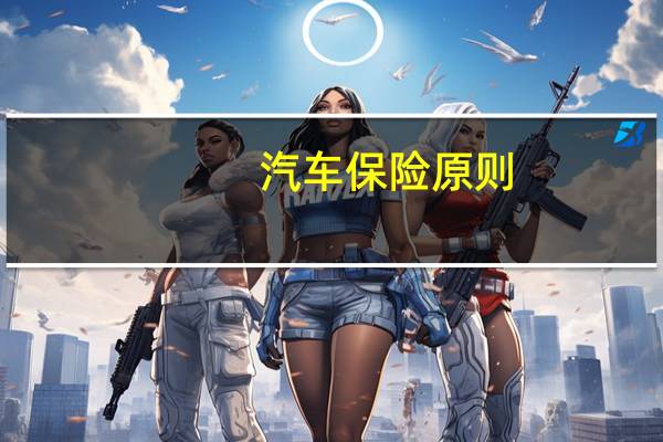 汽车保险原则