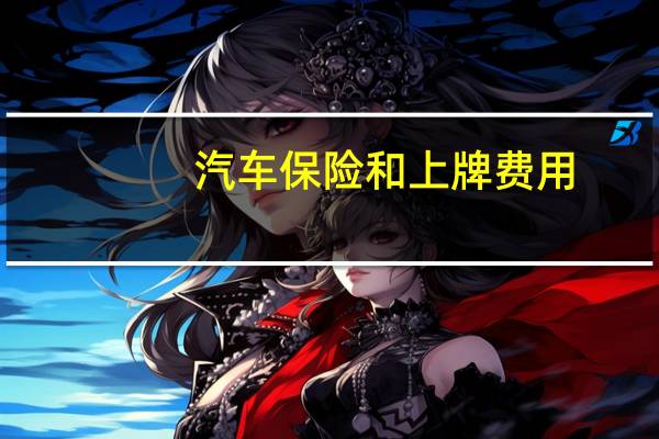 汽车保险和上牌费用
