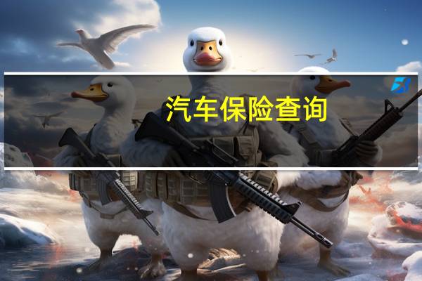 汽车保险查询