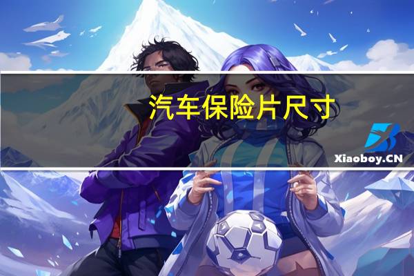 汽车保险片尺寸