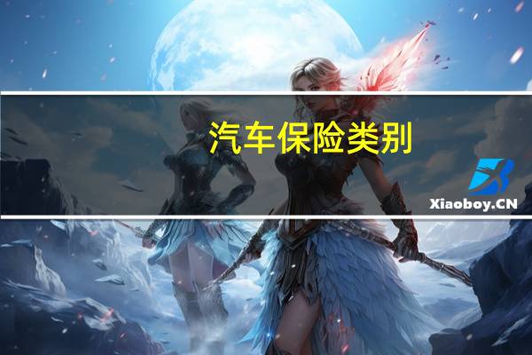 汽车保险类别