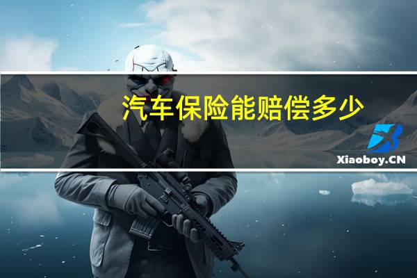 汽车保险能赔偿多少