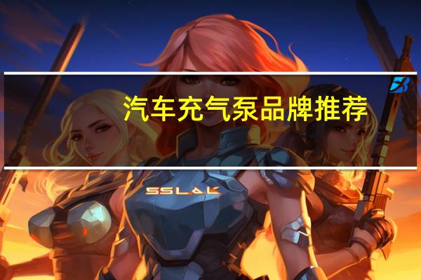 汽车充气泵品牌推荐