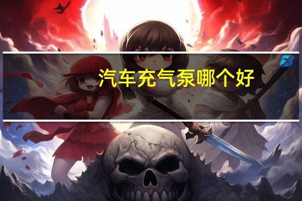 汽车充气泵哪个好