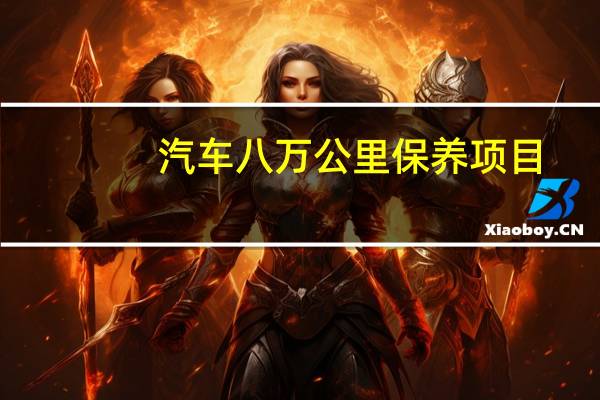 汽车八万公里保养项目