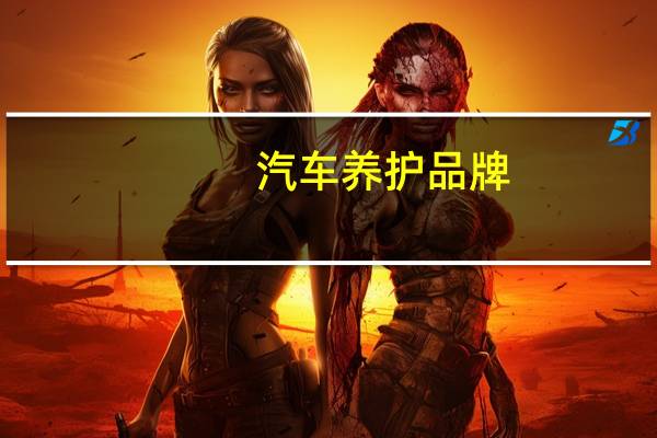 汽车养护品牌