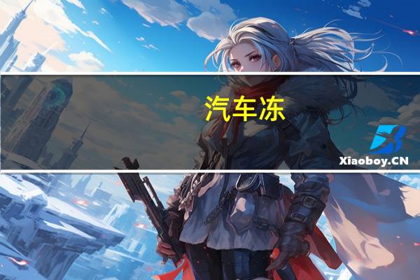 汽车冻