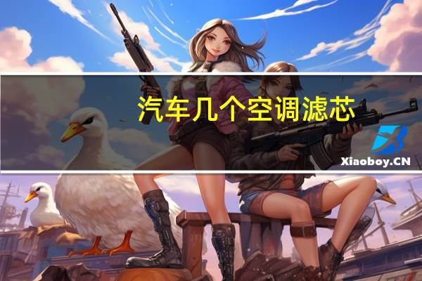 汽车几个空调滤芯