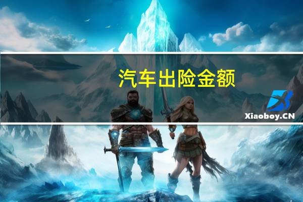 汽车出险金额
