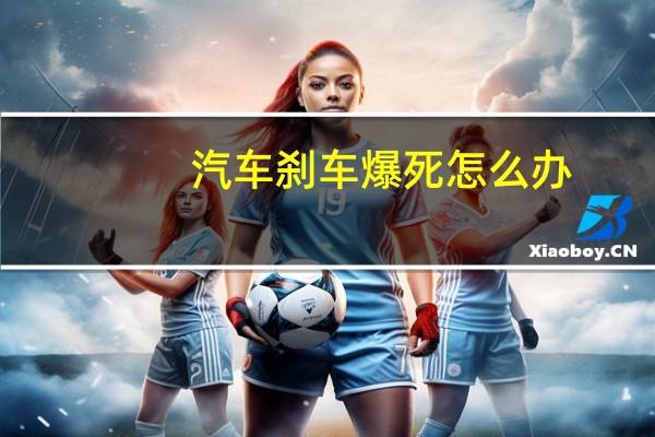 汽车刹车爆死怎么办