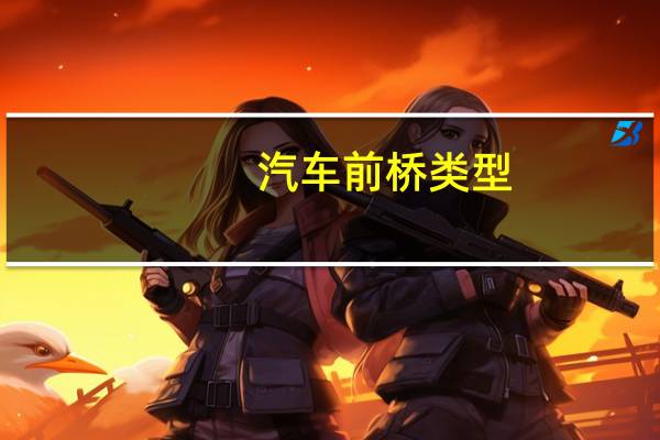 汽车前桥类型