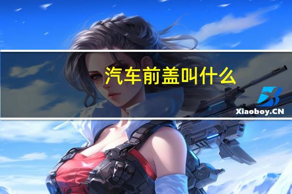 汽车前盖叫什么