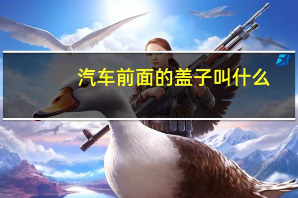 汽车前面的盖子叫什么