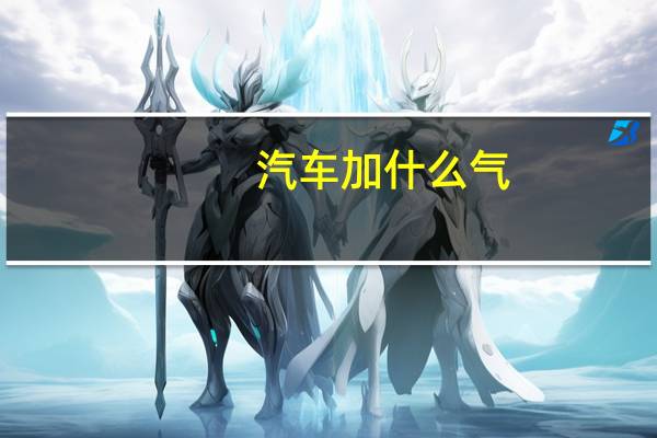 汽车加什么气