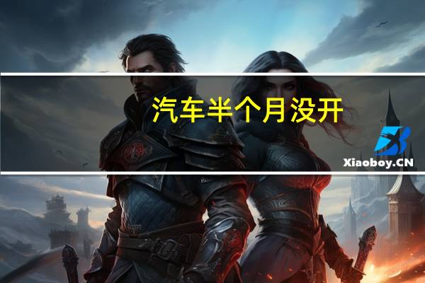 汽车半个月没开