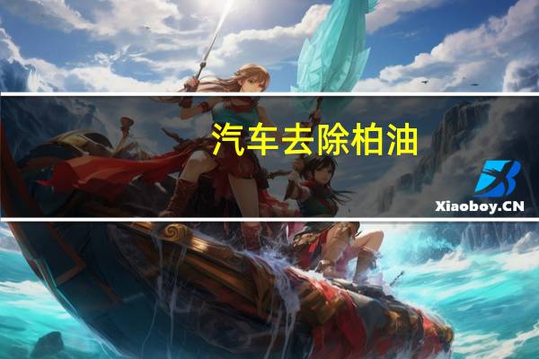 汽车去除柏油